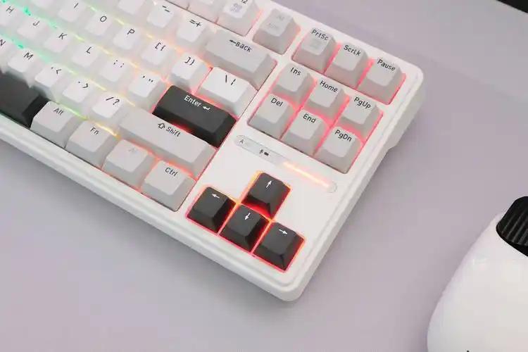 Mechanical keyboard vs regular keyboard: What are the differences?