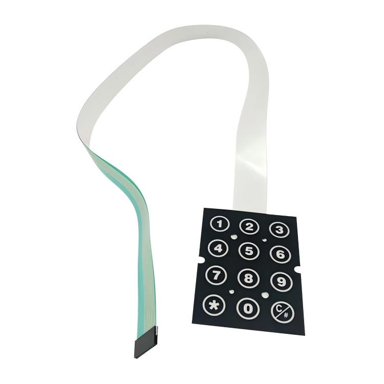 Backlit Membrane Switches - High-Quality Backlit Keypads